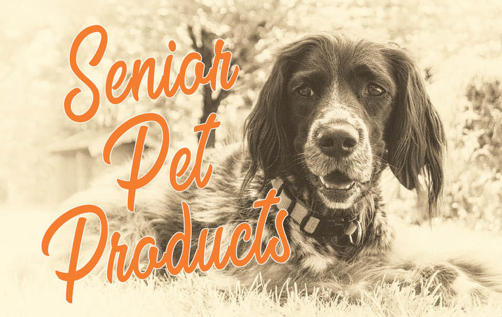 Supporting Vitality in Senior Pets